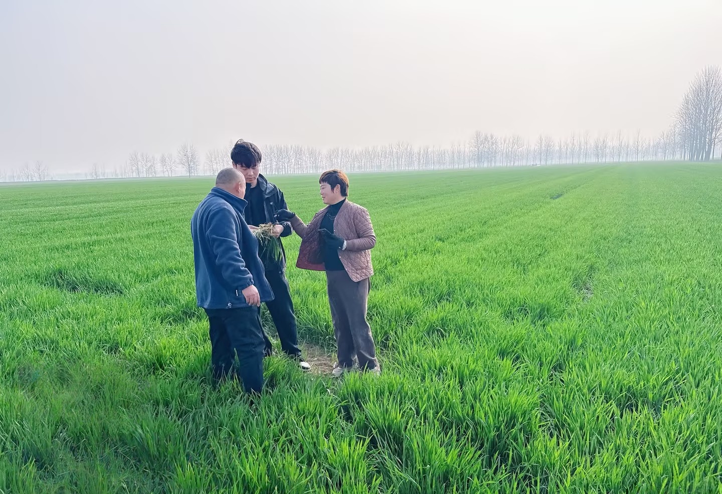 海利爾：戰(zhàn)春耕 護(hù)航豐收開好局