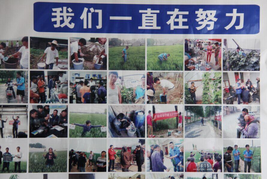 海利爾藥業(yè)集團國內(nèi)制劑2016年度第一次總結(jié)暨市場啟動會議隆重召開