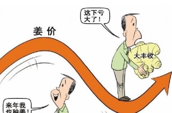 “姜你軍”跌的最狠 是咋回事呢？