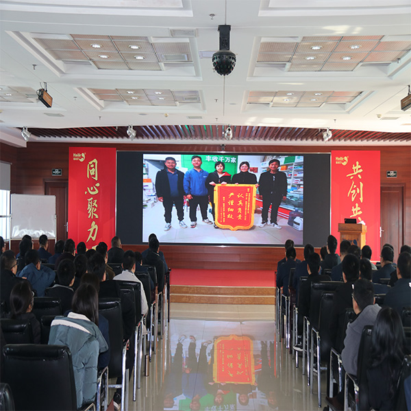 集團(tuán)國內(nèi)制劑經(jīng)營質(zhì)量分析會暨拌種總結(jié)大會圓滿召開